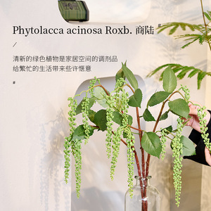 Plante artificielle Pothos vert uni, branche unique, en résine et soie, avec fil de fer, pour décoration intérieure - Product Image 2
