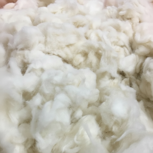 Cotton comber Noil, ผ้าฝ้ายฟอกขาว (Ms. xavia + 84 333371330) - Product Image 1