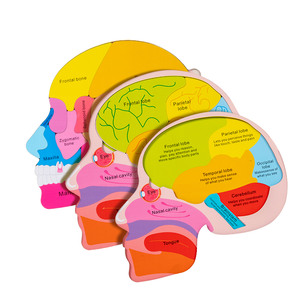 2025 nuovo Design intelligente vendita calda Unisex fabbrica di giocattoli all'ingrosso Montessori struttura precoce educativo del cervello puzzle in legno per bambini - Product Image 1