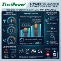 Batería de Plomo-Ácido VRLA de Alta Capacidad FirstPower LFP1255 12V 55Ah, Batería AGM de 10 Horas para Equipos Marinos y Paneles de CC Industriales