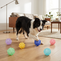 Famipet Fabricant Grossiste Nouveau Jouet à Mâcher pour Chien en TPR, Design Géométrique, Durable
