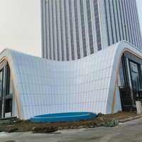 Panneaux de mur-rideau en aluminium sur mesure, revêtement décoratif pour façades, pour projets de construction, vente en gros, usine