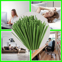Temu Bâtons de bambou écologiques pour aromathérapie Lemongrass Diffuseur d'encens chinois Soins capillaires transfrontaliers WhatsApp + 86- 150