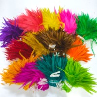 Plumes de coq teintées de 6-7 pouces, multicolores, pour la confection de attrape-rêves de carnaval, la pêche à la mouche, la fabrication de bijoux et l'artisanat
