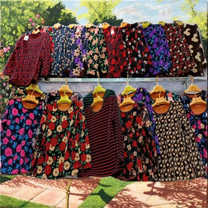 Modèle DZL à 1,95 $ – Vente en gros de hauts et chemisiers pour femmes en polaire respirante avec logo frontal et imprimés floraux - Product Image 2