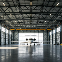Hangar d'avion préfabriqué en acier, conception personnalisée résistante aux vents, installation rapide, structure métallique économique pour le stockage d'avions privés