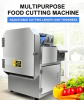 Woming Automatische Fruit- en Groentesnijmachine, Selderij- en Aardappelsnijder, Eenvoudig te bedienen voor commercieel gebruik