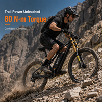Bicicleta eléctrica con logotipo personalizado, 27.5 pulgadas, 750W, 48V, 20Ah, 80km de autonomía, bicicleta de montaña de aleación de aluminio, venta al por mayor