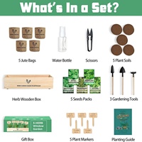 Kit de démarrage pour jardin, kit de plantation complet, boîte à fleurs en bois, potager d'herbes aromatiques pour fenêtre de cuisine, ensemble de plantes DIY, herbes aromatiques, basilic, persil