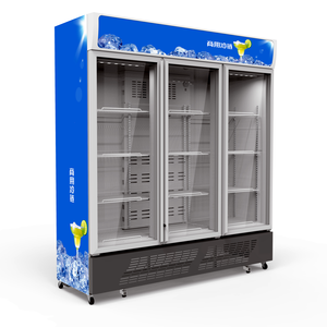 Réfrigérateur commercial à double porte pour boissons avec refroidissement par air, design fin, construction en acier - Product Image 5