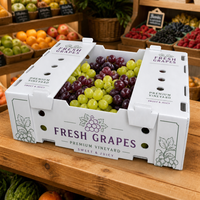 Emballage recyclable en PP ondulé, boîte de rangement en Corflute, bacs en plastique, boîte d'emballage, boîte en Coroplast pour fruits