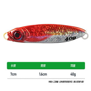 वेई 5 रंग 3 डी प्रिंटिंग जिगिंग lure 20g 30g 40g तट धातु मछली पकड़ने के लिए - Product Image 2