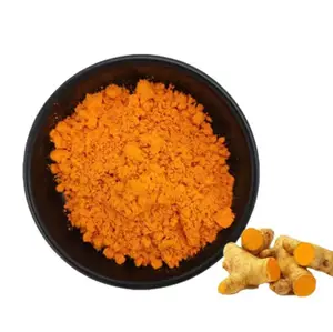 Saf doğal kök Curcumin 95% vahşi organik düşük fiyat zerdeçal tozu