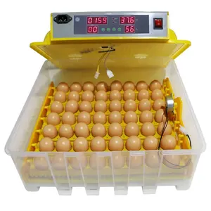 JIATAI alta taxa de incubação clássico 56 ovos incubadora Chicken Duck egg incubadora automática para venda