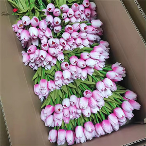 Vente en Gros de Tulipes au Toucher Réel Fleur Artificielle Tulipes Artificielles en PU Blanches pour l'Arrangement Floral de Mariage à la Maison - Product Image 2