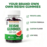Gummies de Reishi Personnalisées à Marque Blanche, Véganes, pour le Sommeil et la Réduction du Stress, Fabricant en Gros OEM ODM