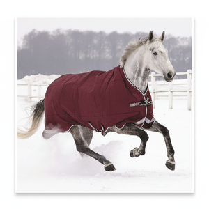 Alfombras de caballo resistentes al agua para invierno - Product Image 1