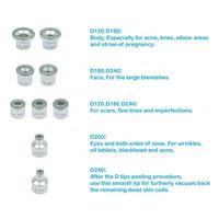 Utilisation à domicile professionnelle diamant Dermabrasion Machine faciale puissance Microdermabrasion vide dissolvant de points noirs traitement de l'acné