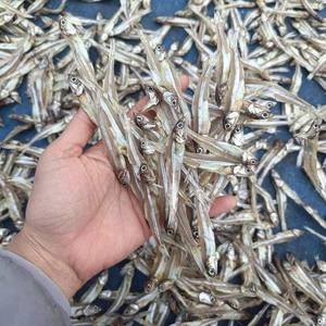 Anchois gris séchés au soleil de qualité supérieure, grade export, Blue Lotus Vietnam - Product Image 3