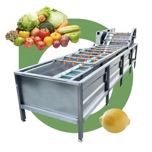 Multi Function Universal Profesional Guangdong Leafy Vegetable Wash Machine Fruit and Vegetable WasherMulti Function Universal P