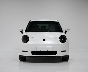 รถยนต์ไฟฟ้า 2024 J AC E30X รุ่น Comfort ขับเคลื่อนสี่ล้อ - Product Image 1
