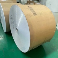 Liquid Packaging Board White Back or Brown Back for Juice Box Milk Box 900*1080mm