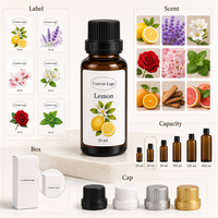 Recharge d'huile parfumée personnalisée pour diffuseur à bâtonnets, pour l'arôme de la maison