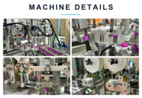Machine d'impression par transfert thermique entièrement automatique pour boîtes de poudre et bouchons de bouteilles de vin, alimentation automatique, surface plane, deux stations SX-201