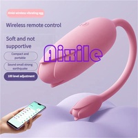 Vibrateur pour femmes, point G, application mobile, contrôle à distance, œuf vibrant portable, 9 modes de vibration, vibrateur clitoridien, dildo