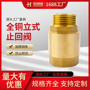 Válvula de Retención de Latón Huihong, de Paso Recto, de Disco Único, para Agua y Petróleo, Válvula Unidireccional, Superficie Pulida - Product Image 5