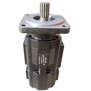 Bomba de Engranajes Hidráulicos Huamao 4110000044 para Cargadora de Ruedas, Maquinaria de Construcción, Motor Hidráulico Nuevo con 1 Año de Garantía - Product Image 6