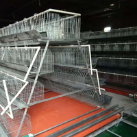 Layer Farm 3 Tier 4 Tier Poules pondeuses Cage à poulet Poule Oeuf Poulet Cage à vendre
