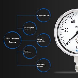 For German Digital Double Type Diaphragm Gauge 632.50.100 Series Stainless Steel Case 100mm Size Measuring - Product Image 3