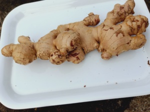 Jahe Segar China Laris Manis 100g 150g 150-250g 250g Ke Atas Jahe Segar untuk Dubai - Product Image 3