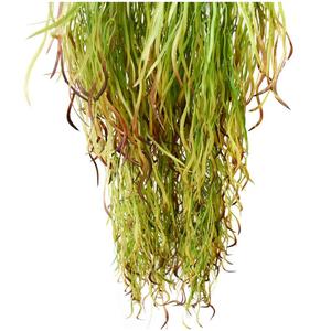 Pianta Artificiale in Vaso, Foglie a Lama, Erba, Salice, Succulente Autunnali, Bastoncini di Rattan, per Esterni, in Plastica, Forniture <span class=keywords><strong>da</strong></span> Giardino, Basso MOQ, per Matrimoni - Product Image 5