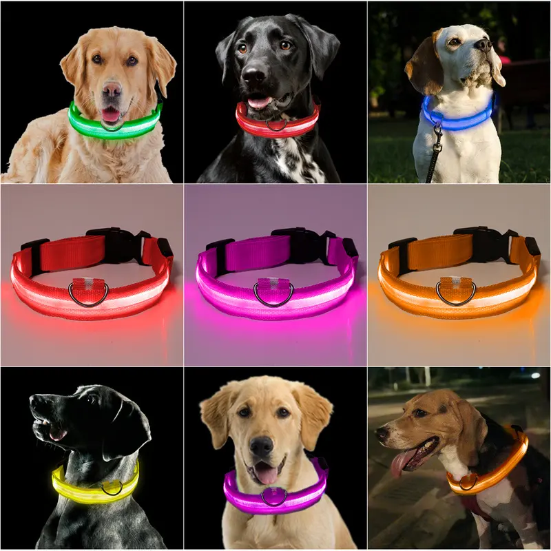 Collar LED brillante para mascotas, accesorio de seguridad para caminar, contra la pérdida de mascotas