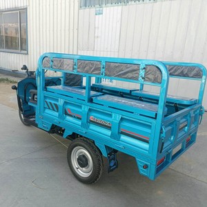 Triciclo de Cabina de Doble Uso para Pasajeros y Carga, Triciclo Económico Directo de Fábrica - Product Image 2