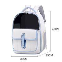 Sac de voyage portable transparent carré réglable avec fermeture éclair, écologique, mignon, moderne, pour l'extérieur, en PVC et PU, respirant et imperméable, pour chats