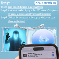 SUNSHING personnalisé Mini NFC CD porte-clés disque vinyle breloque CD Album étui porte-clés Smini NFC musique porte-clés ensemble