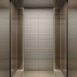 Ascensor de Pasajeros para Apartamentos Pequeños, Diseño Popular Personalizado, para Viviendas - Product Image 3