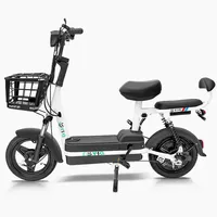 E-Bike 350W Vélo électrique 2 places Scooter électrique Vélo de ville électrique Vélo électrique avec batterie au plomb