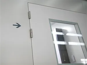 GMP Standard ISO 9001 Color Steel Frameless Seal Cleanroom Doors