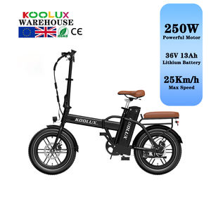Vélo électrique pliable compact KOOLUX X10, 20*4 pouces, 250W, prise EU, vélo électrique pour adultes avec moteur sans balais et batterie amovible - Product Image 1