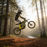 Meilleures Ventes : Moto Tout-Terrain Surron en Stock, Modèle 2026 Surron Light Bee X, Vélo Électrique Léger Surron E-Bike pour Route et Cross