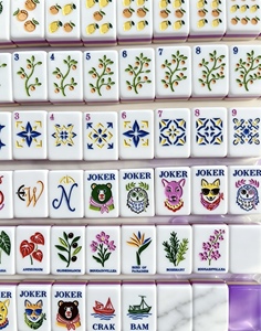 Tuiles de Mahjong Américaines Modernes à Motifs Floraux, Fruitées et Animaux, 166 Pièces, Mahjong Portable en Acrylique, Jeu de Société pour la Maison, Cadeau, Prise en Charge OEM - Product Image 2