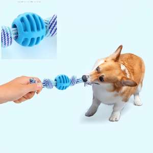 Jouets à mâcher pour animaux de compagnie en TPR durables, écologiques, modernes, pour le nettoyage quotidien des dents, de haute qualité, interactifs pour chiens, vente en gros - Product Image 1