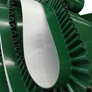Annilte sabuk konveyor PVC sisi bergelombang dengan cleat untuk sistem angkat - Product Image 4