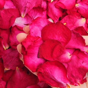 Pétalos de Rosa Roja Grandes, Secos y Naturales al por Mayor para Spa, Baño, Bombas de Baño, Cuidado de la Piel y Decoración de Bodas - Product Image 3