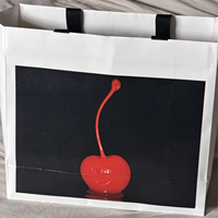 Ensemble de sacs en papier blanc imprimés sur mesure, multi-tailles, avec poignée en sangle noire pour boutique de cadeaux