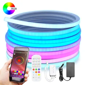 Neon RGBIC LED para uso doméstico, tira de luz LED de corda com fios de néon 24V, inteligente, com controle de aplicativo Wi-Fi, tira de néon RGB endereçável